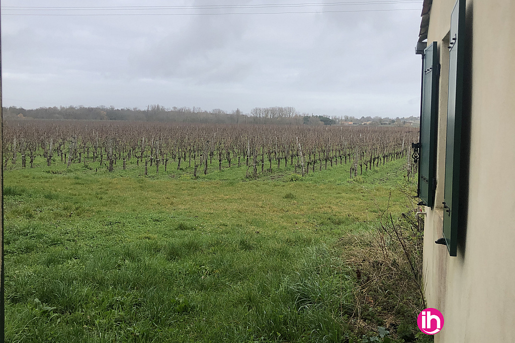 La vue sur les vignes depuis la cuisine