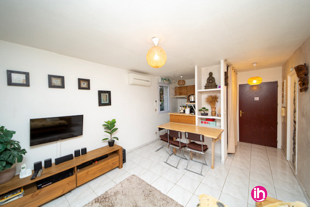 Pièce principale : entrée, séjour et kitchenette