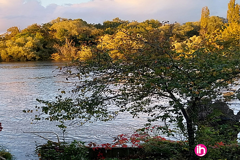 Location de meublé : POISSY : appartement 2 personnes - 1 chambre, Poissy